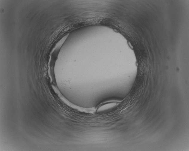 X0000067830693200605111617