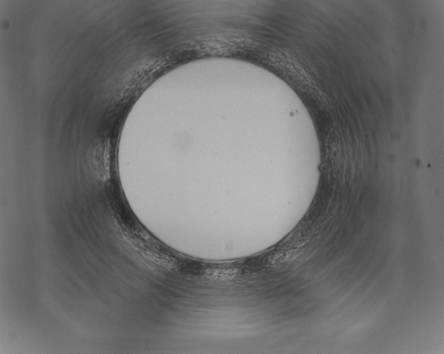 X0000067830694200605111617