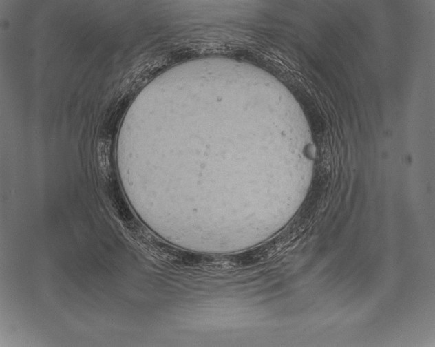 X0000067830695200605111617