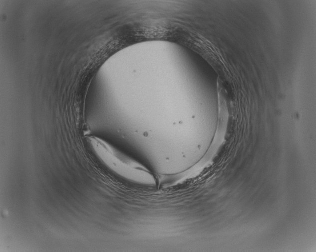 X0000067830697200605111617