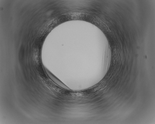 X0000067830698200605111617