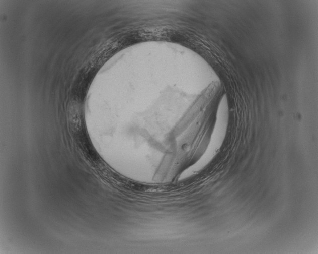 X0000067830699200605111617