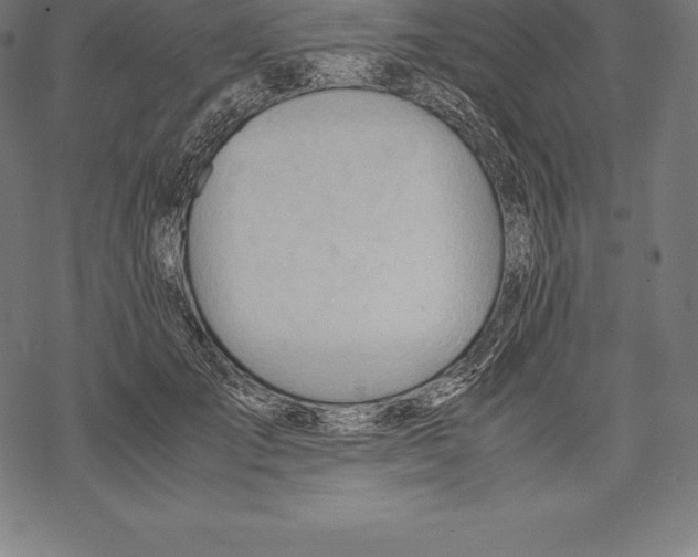 X0000067830701200605111617