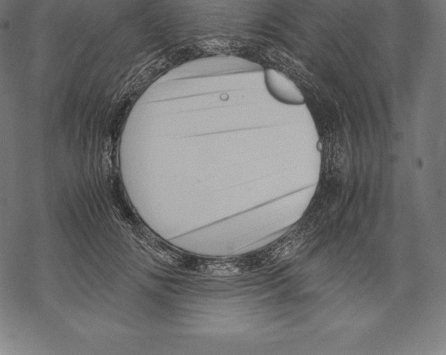 X0000067830702200605111617