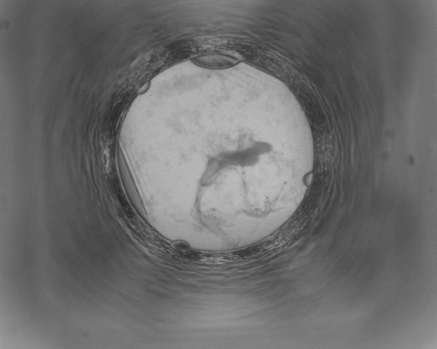 X0000067830703200605111617