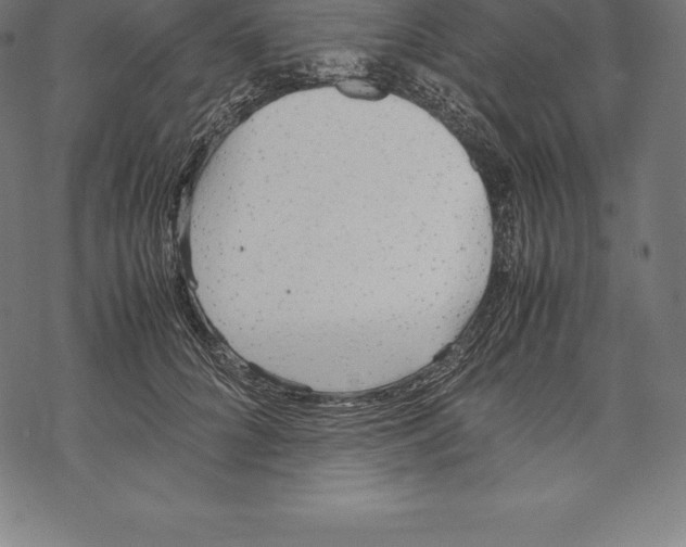 X0000067830704200605111617