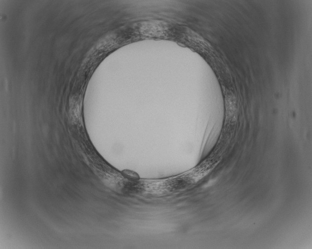 X0000067830705200605111617