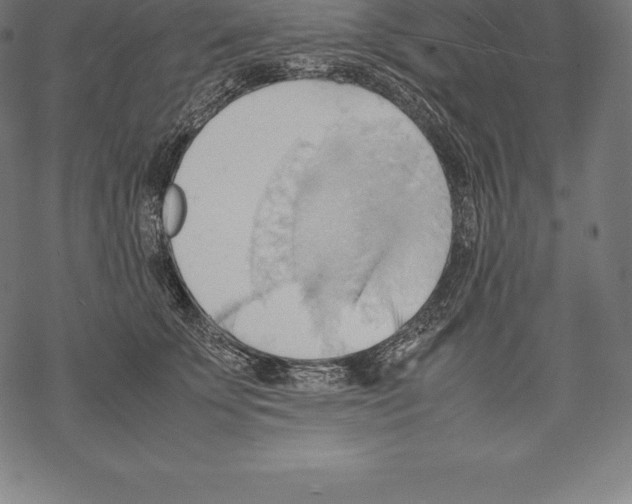 X0000067830707200605111617