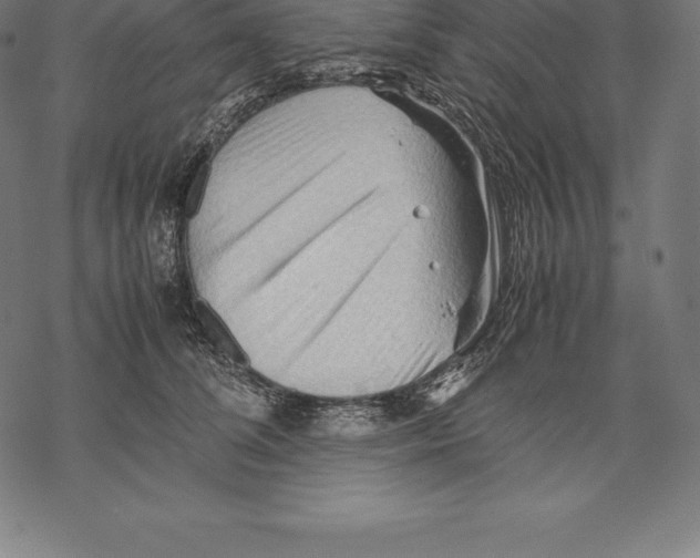 X0000067830708200605111617