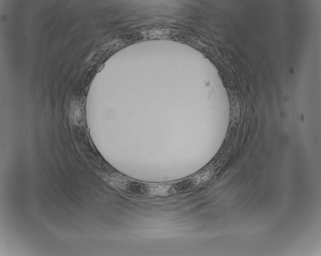 X0000067830709200605111617