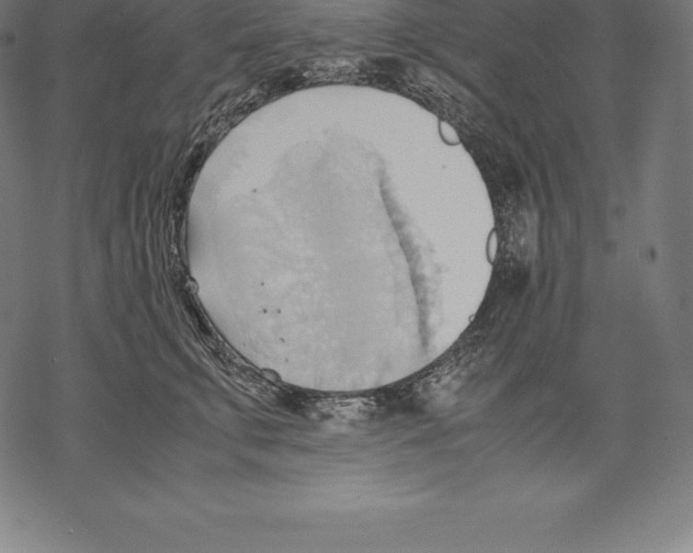 X0000067830711200605111617