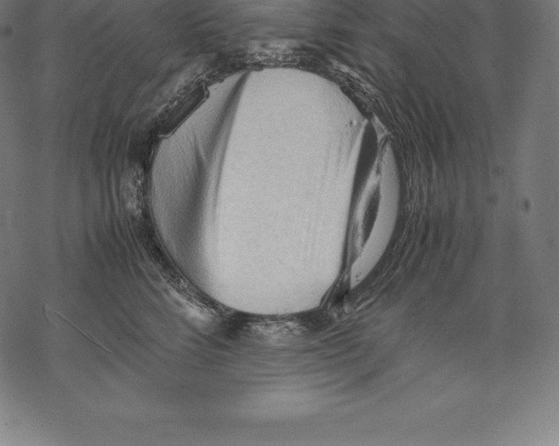 X0000067830712200605111617