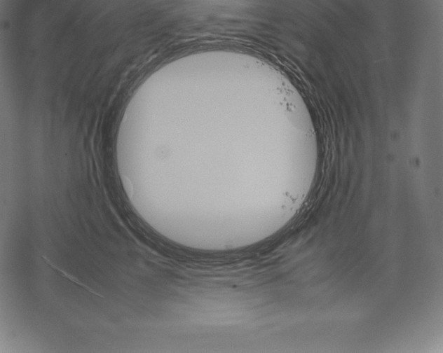 X0000067830713200605111617