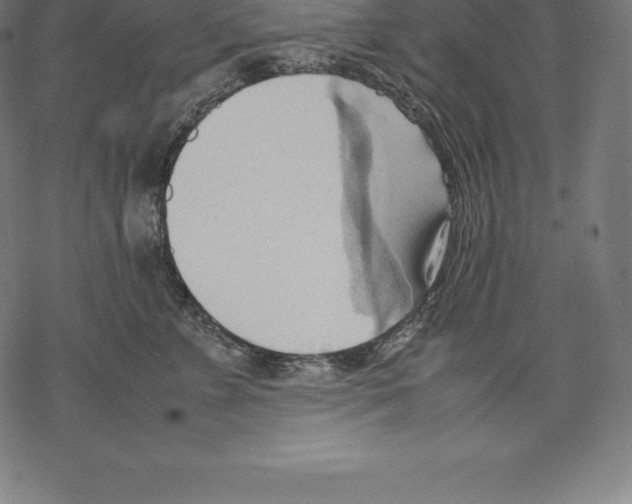 X0000067830715200605111617