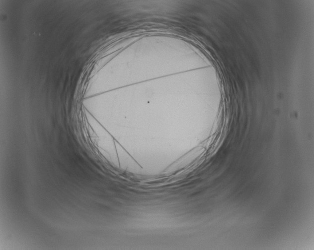 X0000067830717200605111617