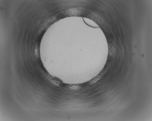 X0000067830718200605111617