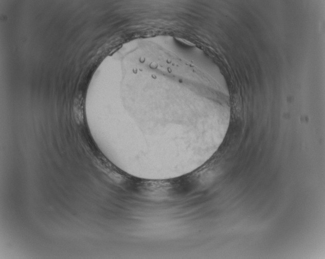 X0000067830719200605111617