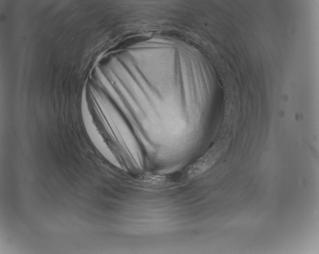 X0000067830720200605111617