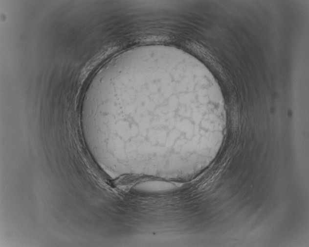 X0000067830721200605111616