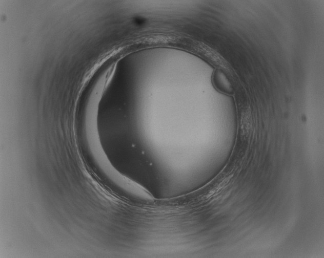 X0000067830722200605111616