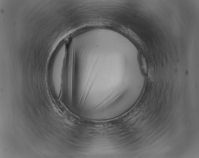 X0000067830724200605111616