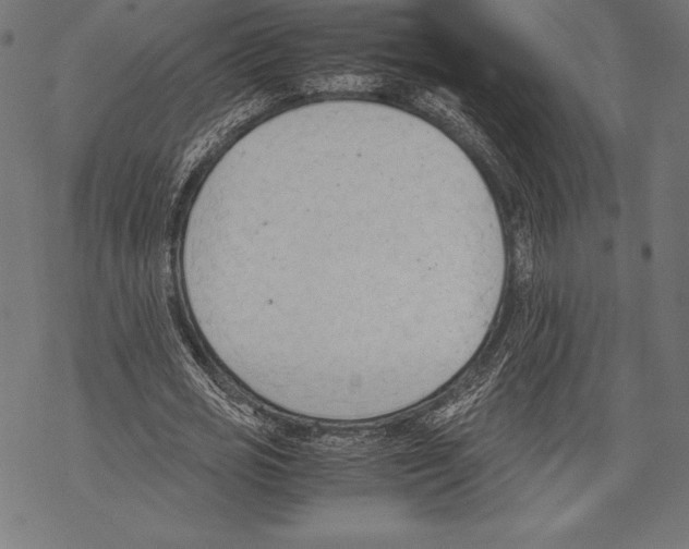 X0000067830725200605111616