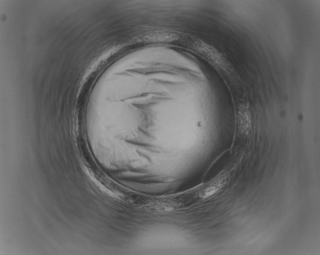 X0000067830726200605111616