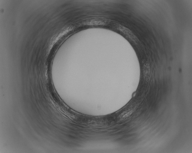 X0000067830727200605111616