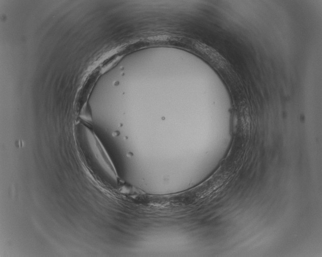 X0000067830728200605111616