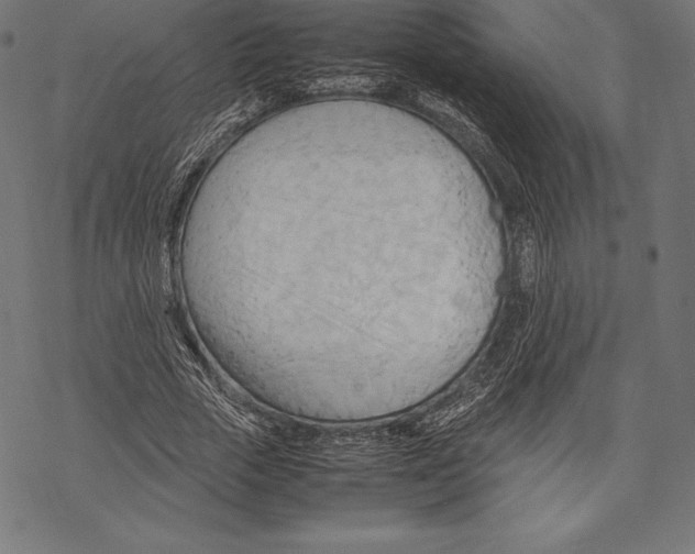 X0000067830729200605111616