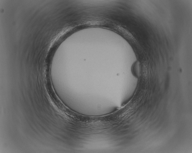 X0000067830730200605111616