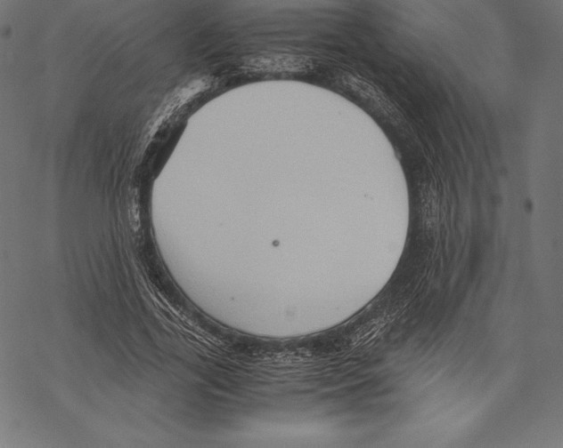 X0000067830731200605111616