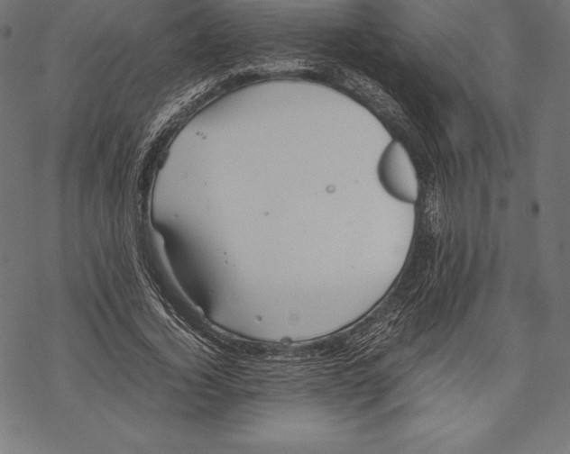 X0000067830732200605111616