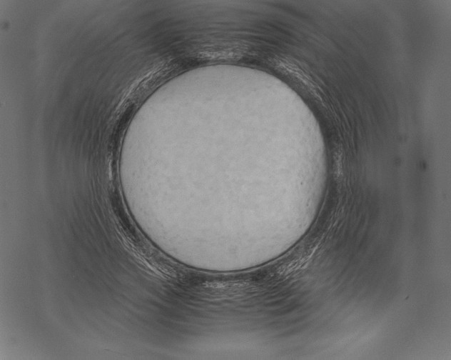 X0000067830733200605111616