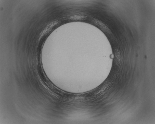 X0000067830734200605111616