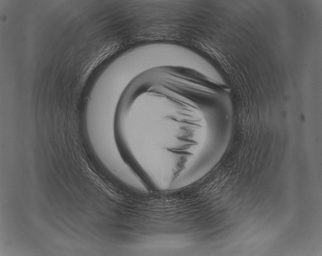 X0000067830735200605111616