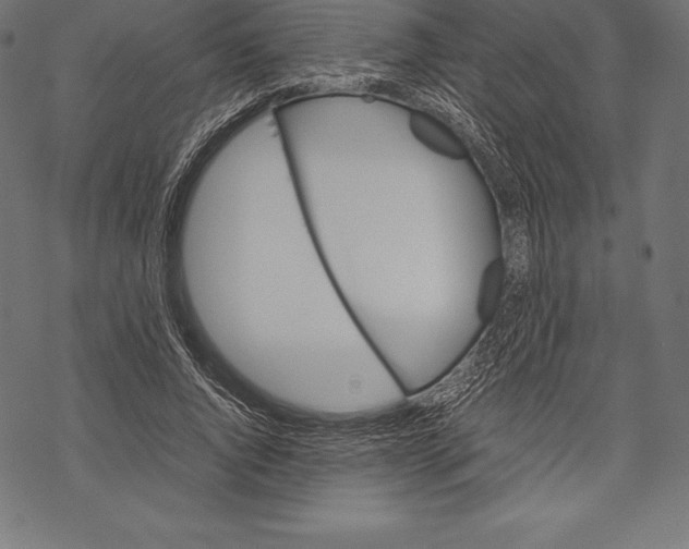 X0000067830736200605111616