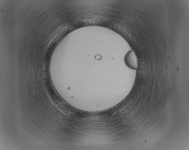 X0000067830738200605111616