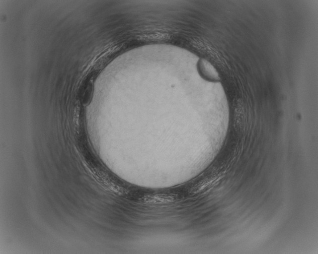 X0000067830739200605111616