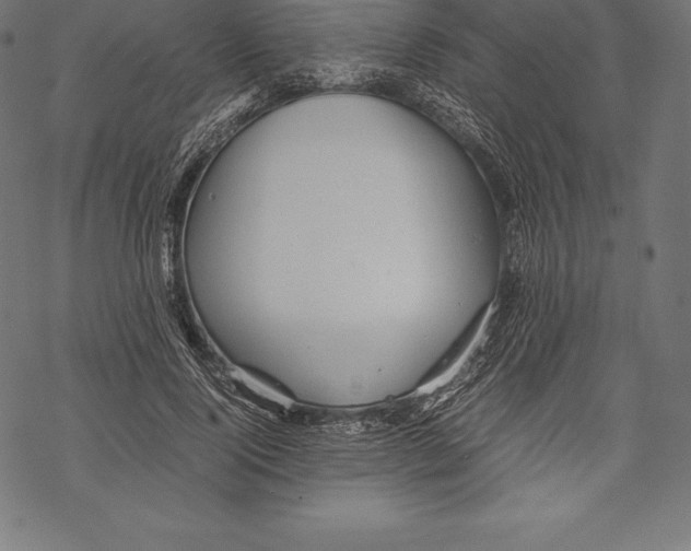 X0000067830740200605111616