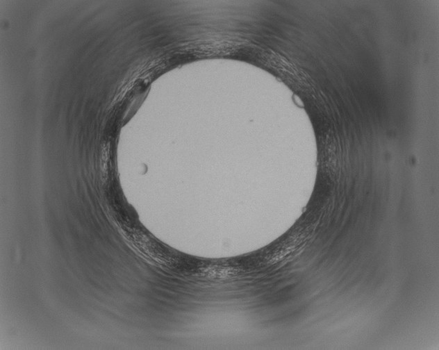 X0000067830742200605111616