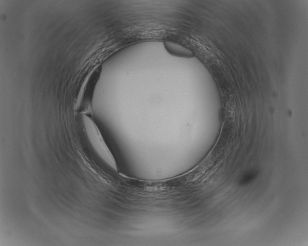 X0000067830744200605111616