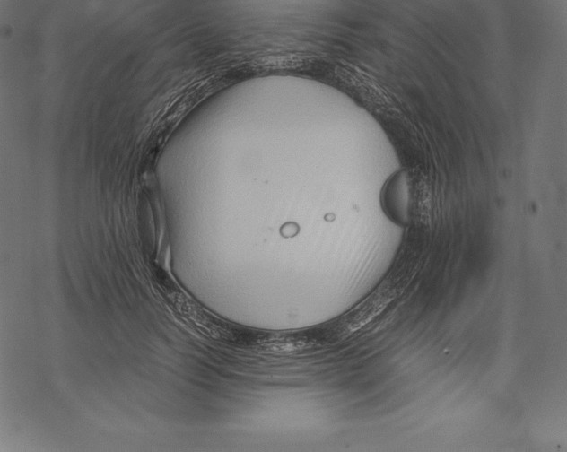 X0000067830746200605111616