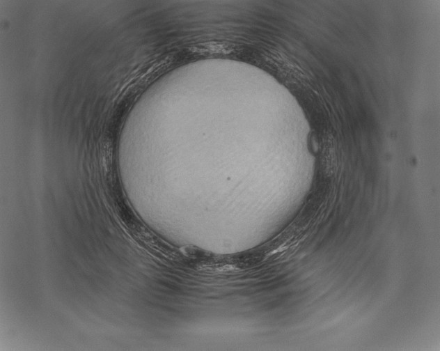 X0000067830747200605111616