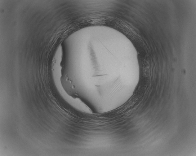 X0000067830748200605111616