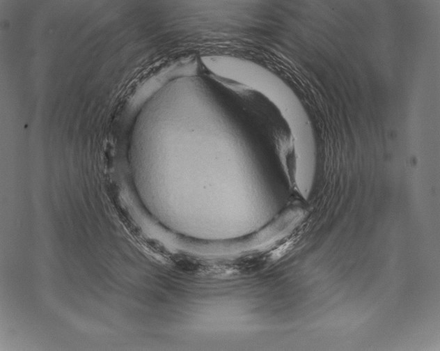 X0000067830750200605111616