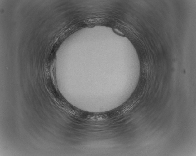 X0000067830751200605111616