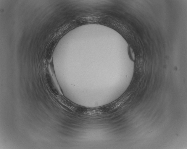 X0000067830752200605111616