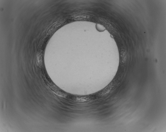 X0000067830753200605111616