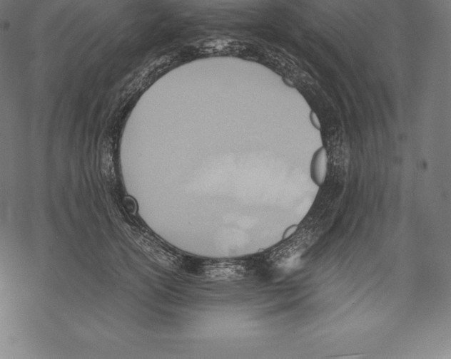 X0000067830754200605111617